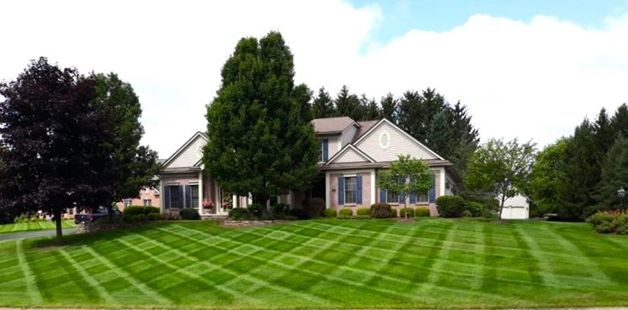 Home with healthy lawn. New landscape care