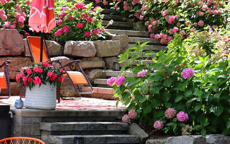 Stone steps with flowers along sides