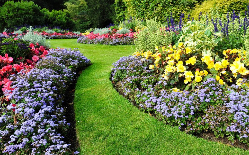 Colorful flower beds with focal point landscaping in garden.