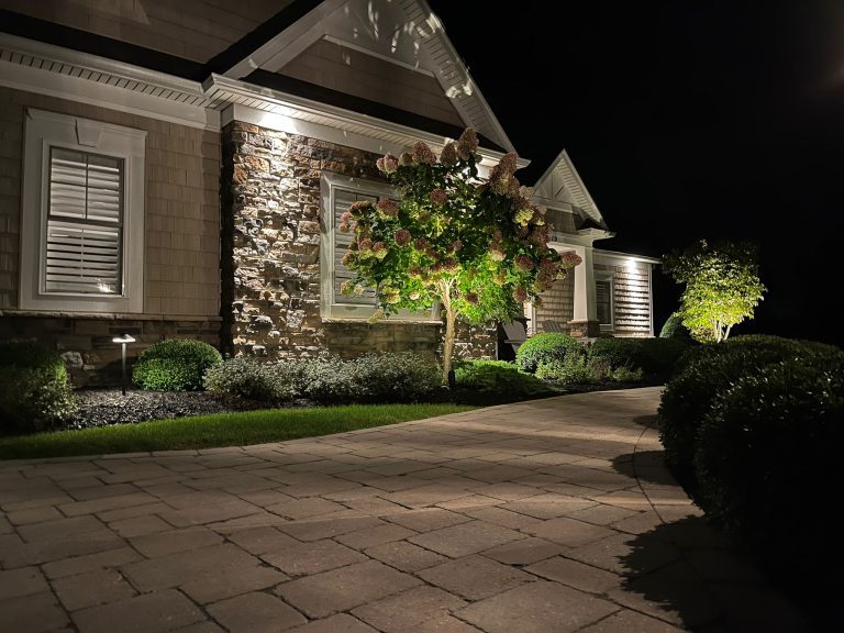 Front yard with accent lighting highlighting trees and shrubs.