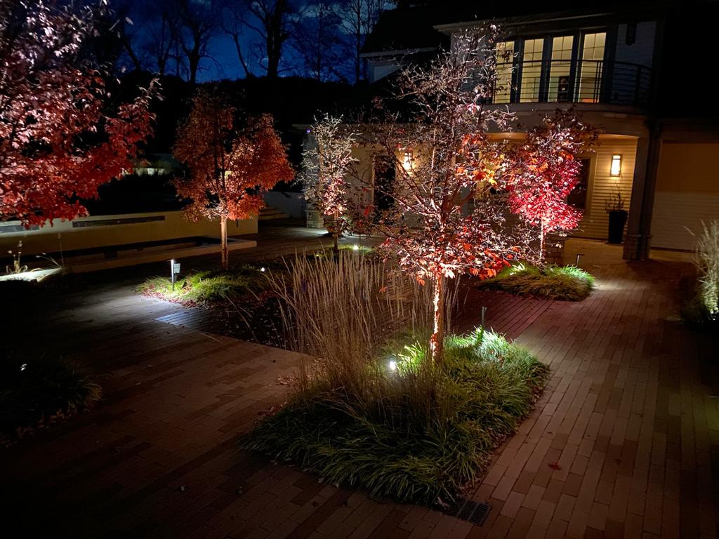 Lit garden with illuminated trees and pathways at night.