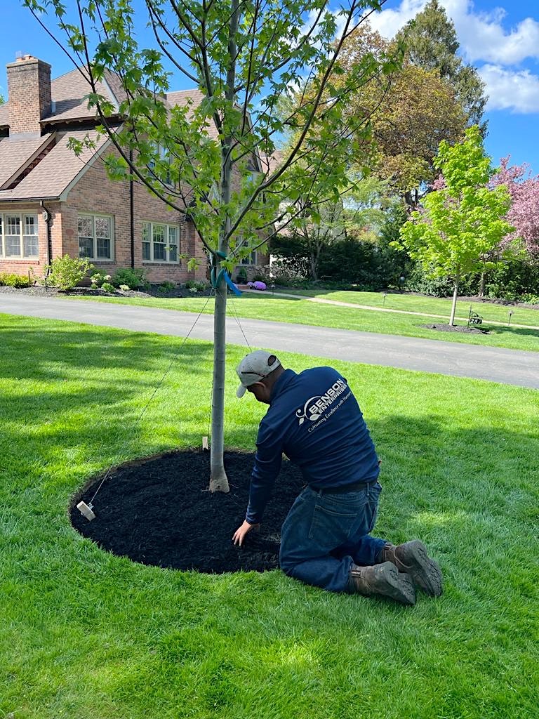 Landscaper applying mulch around a tree in autumn