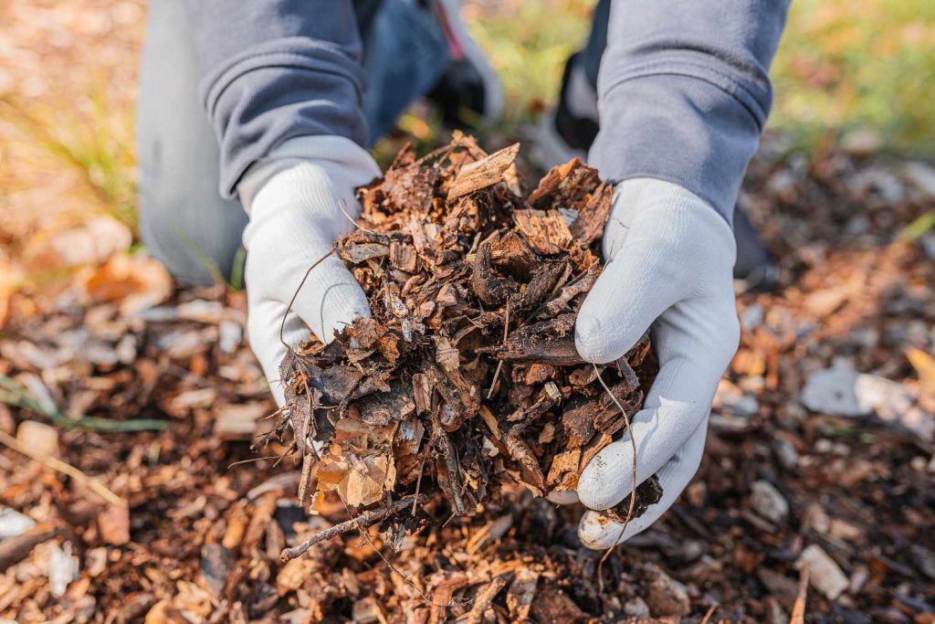 Gloved hands holding mulch for garden.