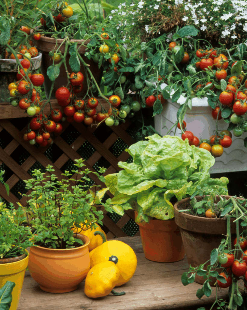 Container Gardening Ideas to Transform Your Outdoor Space